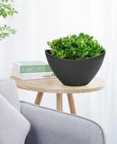 LaDoVita Plant Pots with Drainage Holes, 12 Inch Large Planters for Indoor Plants, Plastic Flower Pots Outdoor, Set of 2 Pack, Frosted Black by GreenHaven Gardens