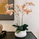 Faux Orange Orchid Plant, Premium Artificial Indoor Flower Display Stands 23”, Beautiful Sculptural Blooms That Lasts Forever, White Planter Pot Included by CozyNest Decor