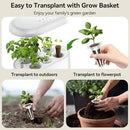 inbloom Asian Herb Seed Pod Kit for AeroGarden, iDoo, Ahopegarden, 7 Pods with 350+ Seeds (Basil, Parsley, Cilantro, Chrysanthemum, Pak Choi, Crystalline Ice Plant, Onion) Hydroponics Growing System by GreenHaven Gardens