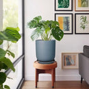 10 Inch Plant Pot - Ceramic Pot for Indoor Plants Outdoor Planter Large Flower Pot with Drainage Hole and Saucer Cylinder Gray by GreenHaven Gardens