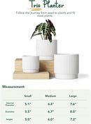 LE TAUCI Ceramic Plant Pots with Drainage Holes, Set of 3, 8+6.7+5.5 Inch Stripe Garden Planter Pots for Outdoor Indoor Plants Flower, Round Succulent Orchid Flower Pot, Small to Large Size, White by GreenHaven Gardens