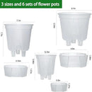 Cdd's Path 6-Pack Self Watering Pots Set with Holes for Indoor/Outdoor Plants,2 Each of 5, 6 and 7 Inch Planter Pot with Watering Hole/Reservior and Air Pipes,Clear by GreenHaven Gardens