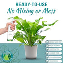 Houseplant Leaf Shine Spray – All-Natural Leaf Cleaner and Gloss for Healthy Shine & Better Photosynthesis | Perfect for House Plants and Foliage | 8 oz by GreenHaven Gardens