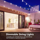 SUNTHIN White String Lights, 144FT(3 Pack 48ft) White Outdoor Lights with Shatterproof LED Bulbs for Patio, Garden, Backyard, Porch, Cafe, Deck, Wedding, Party by GreenHaven Gardens
