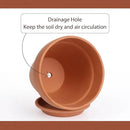 INGOFIN 12 Inch Terracotta Pot with Saucer - Ceramic Clay Pot for Plants with Drainage Hole, Large Terra Cotta Flower Planter with Tray for Indoor Outdoor Plants by CozyNest Decor