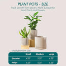 vancasso Ceramic Planters, Plant Pots for Indoor Plants, 6.25+8.25+10.25 Inch Ceramic Pots for Plants, Flower Pots with Drainage Holes (Gray, 6.25+8.25+10.25 Inch) by CozyNest Decor