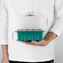 Seed Starter Tray with Grow Light, Plant Germination Starter Kit Seed Starter kit with Humidity Dome and Base for Greenhouse Grow Wheatgrass Hydroponic (Timed Seedling Tray) by GreenHaven Gardens