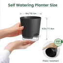 4 inch Self Watering Pots for Indoor Plants, 5 Pack Small Flower Plant Pots with Drainage Holes and Clear Reservoirs, Visible Water Level, Plastic Planters with Wicking Rope, Black by GreenHaven Gardens