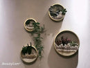 3 Pack Set Wall Planters,Modern Round Glass Wall Planter Succulent Planter Circle Iron Hanging Planter Vase for Herb,Small Cactus Perfect for Balcony, Room and Patio Decor (Gold) by GreenHaven Gardens