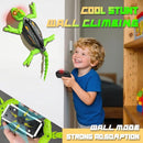Wall Climbing RC Chameleon Toy for Kids, Rechargeable Remote Control Lizard Toy with LED Eyes, Dual Mode Floor & Wall Driving, Gift for Boys Girls Ages 3+ by TinyTreasures Baby Boutique
