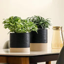 Nihow Ceramic Plant Pot: 6 Inch Planter with Drainage Hole & Saucer for Indoor & Outdoor Plants - Cylinder Round Flower Pot for Succulent/Herbs/Violets - Black & Brown by GreenHaven Gardens