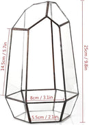 NCYP Geometric Glass Terrarium Planter for Succulent, Small Cacti, Black Irregular Opened Container Pot, Indoor Home Garden Office Tabletop Decor, 6.5" x 5.7" x 9.8" (No Plants, No Door) by CozyNest Decor
