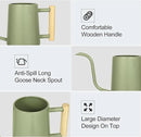 Watering Can Indoor Plants, 35 oz/1000 ml Metal Stainless Steel Watering Can Pot with Long Spout for Indoor House Plants Bonsai Outdoor Garden Flower Decorative (Sage Green) by GreenHaven Gardens