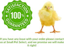 Small Pet Select - Chicken Starter Feed (Corn-Free/Soy-Free/Non-GMO), 20lb by GreenHaven Gardens