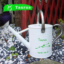Metal Watering Can for Outdoor and Indoor Plants, Watering Can Decor, 1 Gallon (Taurus) by GreenHaven Gardens