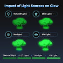 FLASHFORGE Rapid PLA Filament 1.75mm Luminous Green, 500mm/s High Speed Printing, Glow in The Dark 3D Printer Filament 1kg Spool, Dimensional Accuracy +/- 0.02mm, Brilliant, Long-Lasting Glow by TinyTreasures Baby Boutique