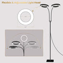 GLOWRIUM Grow Light with Stand,2-Head LED Plant Light for Indoor Plants, Full Spectrum Grow Lamp, 3/9/12H Timer, 6 Dimmable Levels, 3 Lighting Mode, Adjustable Height by GreenHaven Gardens