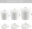 Ceramic Plant Pots,4+5+6 Inch Pots for Indoor Plants,Planters with Drainage Holes and Ceramic Tray, Indoor Flower Pots Gardening Home Desktop Office Windowsill Decoration Gift,Set of 3 (White) by GreenHaven Gardens