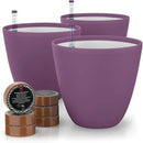 GARDENIX DECOR Self Watering Pots for Indoor Plants 3 Pack - Flower Pot with Water Level Indicator for Plants, Grow Tracking Tool - Self Watering Planter Plant Pot - Coco Coir - Purple by GreenHaven Gardens