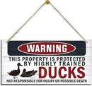 Funny Warning Signs, The Property is Protected By Highly Trained Ducks Sign, Decorative Wood Hanging Wood Plaque, Outdoor Warning Sign, Farm Yard Decor, Door Sign, Farmhouse Home Wall Decor by CozyNest Decor