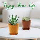 4 inch Plant Pots, 5 Pack Flower Pots Outdoor Indoor, Planters with Drainage Holes and Tray Saucers（（Multicolor） by GreenHaven Gardens