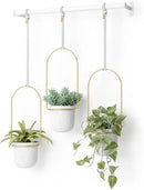 Umbra Triflora Hanging Planter for Window, Indoor Herb Garden, Set of 3, White/Brass by GreenHaven Gardens