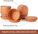 INGOFIN 5 Inch Terracotta Shallow Pots Set with Saucer - Ceramic Clay Pots with Drainage Hole, Terra Cotta for Plants for Indoor Outdoor Plants, Set of 6 by CozyNest Decor