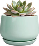 G EPGardening Ceramic Plant Pots - 6 Inch Pot for Plants, Ceramic Planter with Drainage and Saucer, Flower Indoor Outdoor Planter, Modern Bathroom Decor, Birthday Gifts, Green by GreenHaven Gardens
