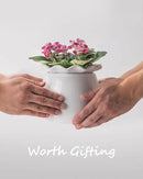 Self Watering Plant Pot, 6 Inch African Violet Pots Maintenance, Ceramic Self-Watering Planter for Indoor Plants - Ideal Flower Pot for Thriving Indoor Gardens by GreenHaven Gardens