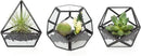 Mkono 4 Inches Mini Glass Geometric Terrarium Container Set of 3 Modern Tabletop Planter Shelves Decor Display Centerpiece for Succulent Miniature Fairy Garden Air Plant, Black(Plant Not Included) by CozyNest Decor