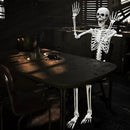 Lodou 5.4Ft Posable Life Size Human Adult Skeletons Plastic Human Bones with Movable Joints for Halloween Decoration by GreenHaven Gardens