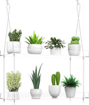 2-Tier Hanging Clear Plant Shelves for Windows, Acrylic Window Wall Plant Stand Shelf for Kitchen Indoor Gardens, Flower, Succulents, Herb, Seedling Organization, and Pots Display, 16 Inch per Tier by GreenHaven Gardens