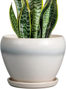 Ceramic Planter - 8 Inch Plant Pot with Drainage Hole and Saucer, Glaze Round Flower Pot for Home Garden Patio Office, White by GreenHaven Gardens