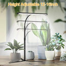 Super-Bright Grow Light for Indoor Plants, 6000K 108LEDs Full Spectrum Plant Lamp with Timer 4/8/12Hrs & Height Extendable for Home Office Desktop Plants, 12V 3A High Power Output for Faster Growth by GreenHaven Gardens