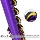 EASTROCK Closed Hole Flutes C 16 Key for Beginner, Kids, Student -Nickel Flute with Case Stand and Cleaning kit (Purple) by TinyTreasures Baby Boutique