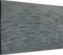 SIGNWIN 60"x72" Extra Large Framed Wall Art Gray School of Fish Minimalist Ocean-Inspired Marine Life Illustration for Home Living Room Bedroom Decor (Frame Assembly Required) by CozyNest Decor