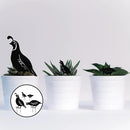 jojofuny 4pcs Garden Quail Stake Bird Yard Art Metal Statue Decor Animals Silhouette Outdoor Decoration Courtyard Ornaments for Lawns Backyard Patio Backyard Pathway by GreenHaven Gardens