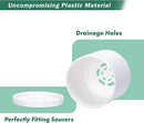 D'vine Dev 24 Pack 2 Inch Mini Plastic Plant Pots, Small Garden Planters for Plant with Drainage Holes and Saucers, White Color, 74-Z-A-6 by GreenHaven Gardens