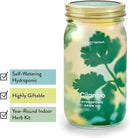 Modern Sprout Mason Garden Jar - Self-Watering Hydroponics Growing System Kit with Organic Herb Seeds - Jar Planter for Indoor Herb Garden - Seed Starter Kit - Home Decor & Gifting - Basil+Cilantro by GreenHaven Gardens