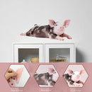 Funny Piggy Wall Window Stickers True Pig Wall Decals Peel and Stick Cute Pig Wall Stickers Removable Funny Animals Decals Gifts for Farmhouse Nursery Kitchen Kids Bedroom Playroom Décor by CozyNest Decor