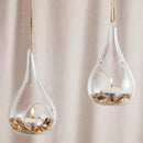 Juvale 5-Pack Hanging Glass Terrarium Containers - Air Plant Holder, Succulent Planter, Tea Light Candle Hangers (3.5x5 in) by GreenHaven Gardens