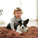 AMTOVO Faux Fur Sheepskin Rug for Living Room, 4 x 6 ft Coffee Fluffy Area Rug for Bedroom, Playroom, Luxury Room Decor, Rectangle by CozyNest Decor
