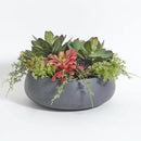 Faux Succulent Arrangement, Premium Artificial Indoor Plant Enhances Interior Design, Display on Any Surface in Your Home Adding an Inviting Touch of Nature, Grey Planter Pot Included by CozyNest Decor