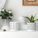 Ton Sin Plant Pots,5.5 Inch White Pots for Indoor Plants with Drainage Holes,Cylinder Flower Pot Ceramic Planters with Saucer,Cactus Succulent Outdoor Garden Pots Set of 4 by GreenHaven Gardens