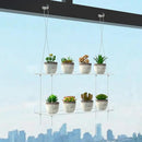 2-Tier Clear Hanging Window Plant Shelves 16inch,Indoor Windows Wall Hanging Plant Stand Flower Display,Flower Pot Organizer Storage for Window Grow Herbs,Microgreens,Succulents,Flower by GreenHaven Gardens