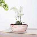 G EPGardening Large Ceramic Succulent Planter Pot with Drainage Hole and Saucer Large Marble Flower Pot for Plants Round Bonsai Planter Pot Indoor Outdoor Pink