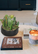 DILATATA Artificial Cactus Plants in Pot 5.5 Inch Fake Succulents Arrangement Potted Plant in Black Ceramic Planter Bowl for Home Office Desk Shelf Living Room Bedroom Bathroom Decor by GreenHaven Gardens