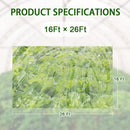 6 mil Greenhouse Plastic Film Sheeting Cover 16 x 26 Ft UV Resistant Clear Polyethylene Film Green House Hoop Farm Plastic Cover for Gardening, Farming, Agriculture by GreenHaven Gardens