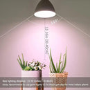 Smart LED Grow Light Bulbs with Remote Controller, Sun Mode, Built-in Daily Auto Timer, 4500K, A21/A70 E26/E27 9W Dimmable Full Spectrum Grow Bulbs for Indoor Plants, 2 Pack by GreenHaven Gardens