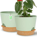 Self Watering Green Plastic Plant Pot Flower Planters with Drainage Hole And Deep Reservoir Large Planting Pots for for All Houseplants,Succulent, African Violets, Flowers and Cactus 12Inch/2pcs by GreenHaven Gardens